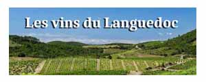 les-vins-du-languedoc